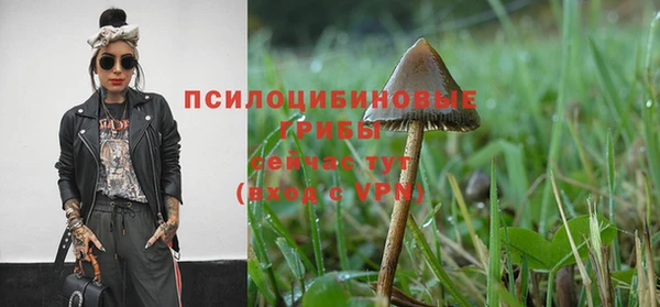 ALPHA PVP Бронницы